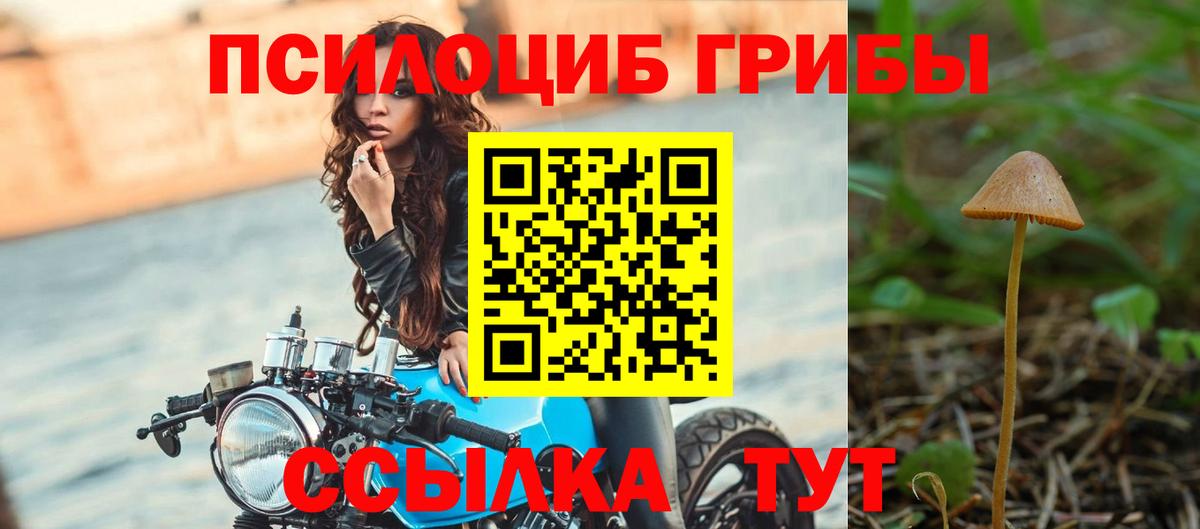 Нижневартовск  Псилоцибиновые грибы мухоморы  Вход с VPN 